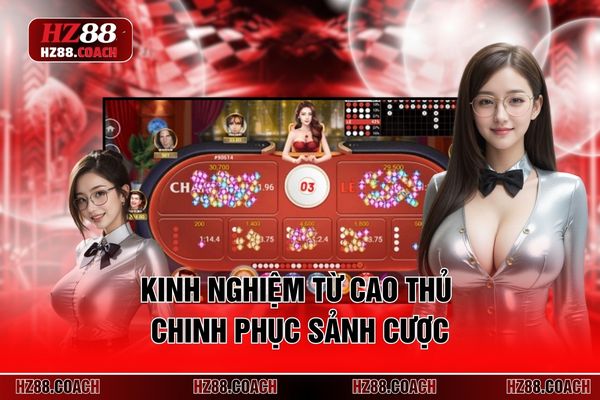 Kinh nghiệm từ cao thủ chinh phục sảnh cược Kinh nghiệm từ cao thủ chinh phục sảnh cược